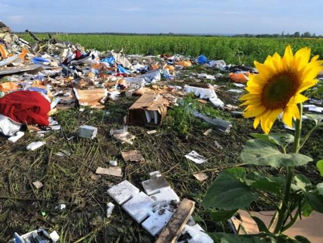 The downing of MH 17 will be high on the agenda in Brisbane. Picture: AFP/Dominique Faget
