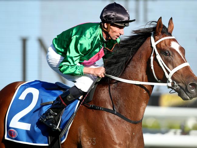 SYDNEY, AUSTRALIA - DECEMBER 10: Nash Rawiller riding Democracy Manifest returns to scale after winning Race 10 The PFD Handicap during Sydney Racing at Royal Randwick Racecourse on December 10, 2022 in Sydney, Australia. (Photo by Jason McCawley/Getty Images)