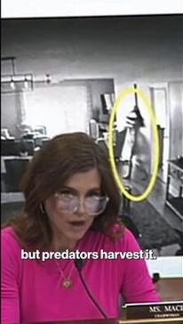 Rep. Nancy Mace shares hidden camera photos of her 'naked silhouette' during a house hearing