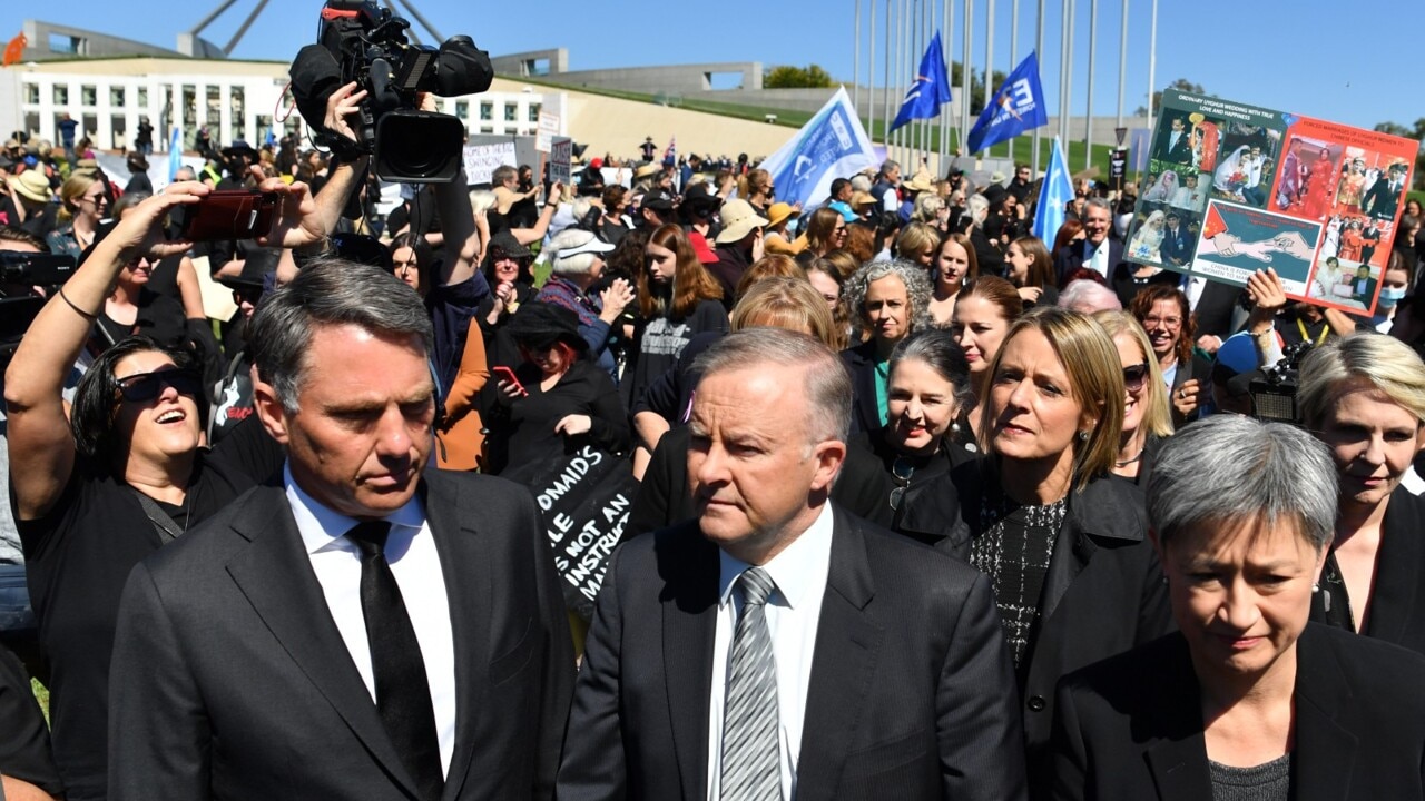 Albanese the ‘most left-wing Labor leader since Gough Whitlam’