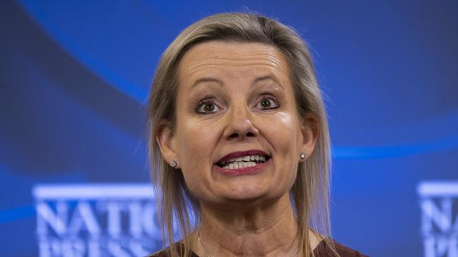 Minister for the Environment Sussan Ley. Picture: NCA NewsWire / Martin Ollman