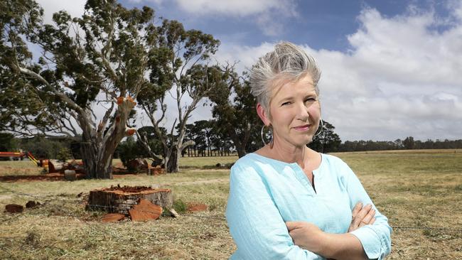 Gardening guru and Sunday Mail columnist, Sophie Thomson in front of the trees cut down at Mount Barker. Picture: Sarah Reed