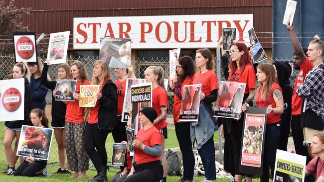 The group shut down the slaughterhouse for several hours.