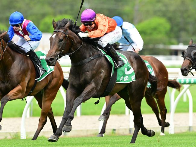 Kelly Schweida's two-year-old colt Grafterburners will line up in the $2m Inglis Millennium at Randwick on Saturday. Picture: Grant Peters, Trackside Photography.