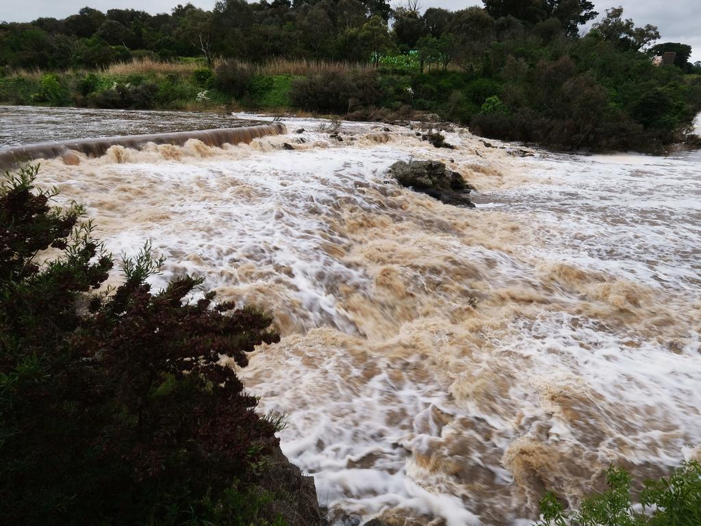 Flooding The Barwon River at Buckleys Falls. Picture: Mark Wilson