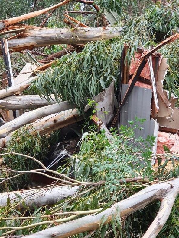 Trees crushed the home.