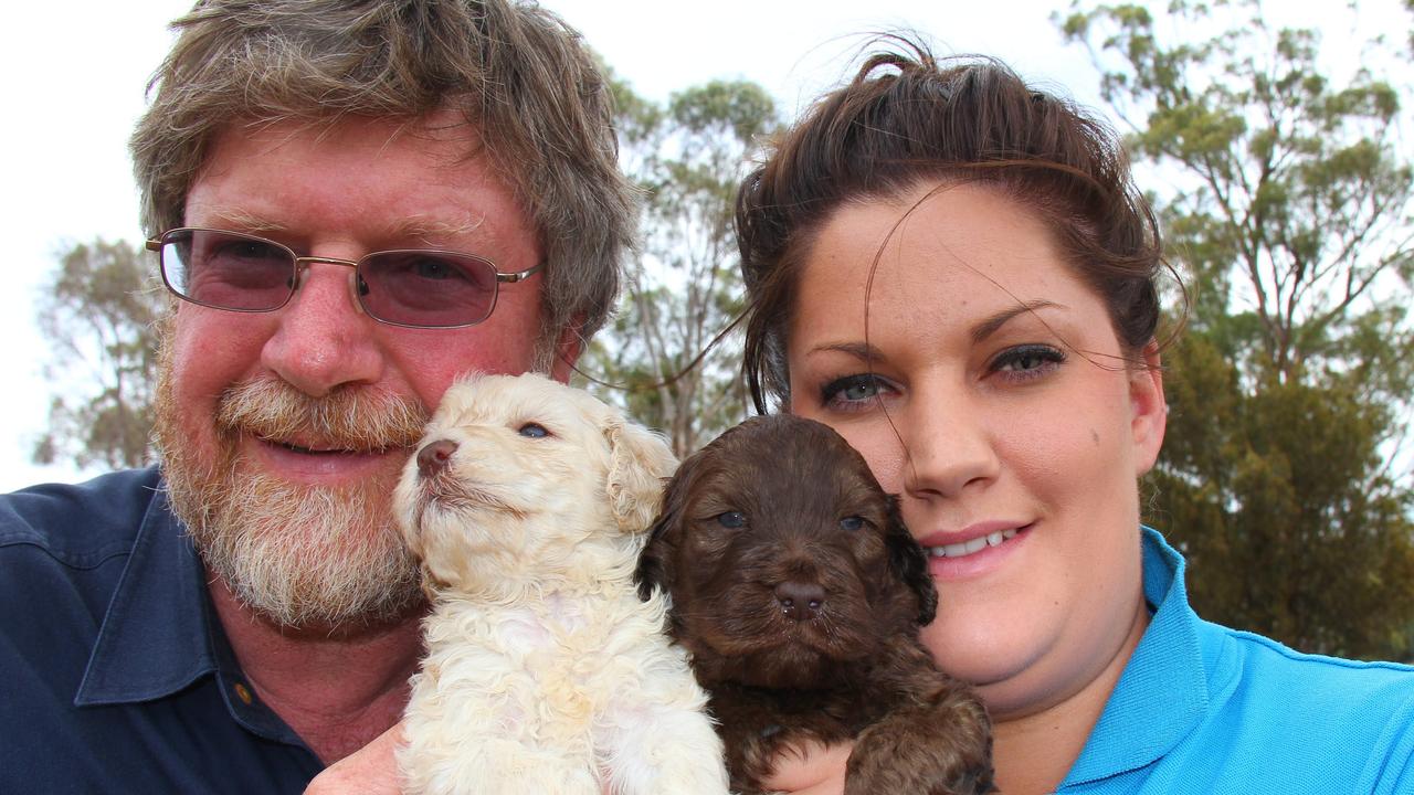 Puppy farms controversy, breeder Paul Bartlett, who operates Tasmanian Labradoodles at a farm near Epping Forest, and his daughter Lisa Bartlett with four-week-old cream and coffee coloured labradoodle pups from their farm