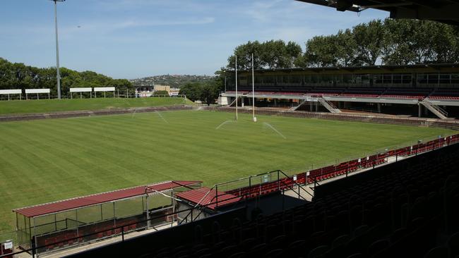 The brawl happened at the ned of the junior grand final held at Brookvale Oval.