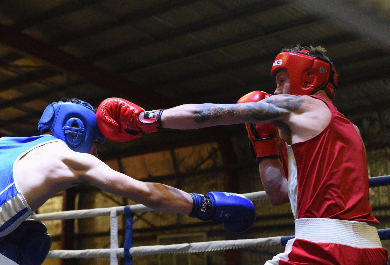 Fight Night Hervey Bay PCYC | The Courier Mail