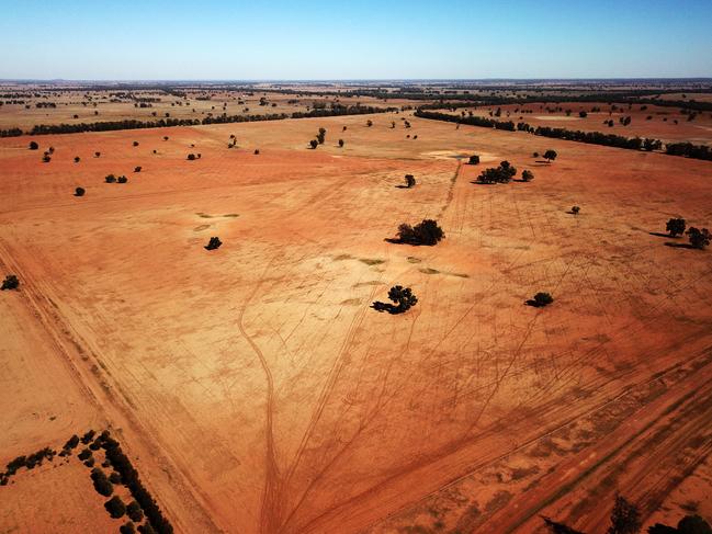 Dry fields of Richard and Diane Darcy’s farm in Tullamore. Picture: Jonathan Ng