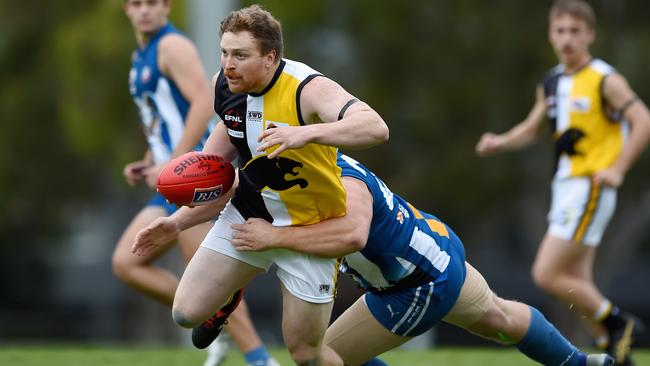 Chirnside Park’s season was a success, Newlands says. Picture: Steve Tanner