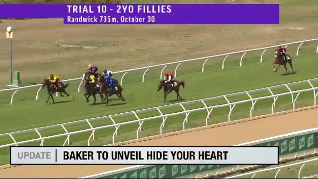 Sky Racing Update: Thursday Nov 26, 2020