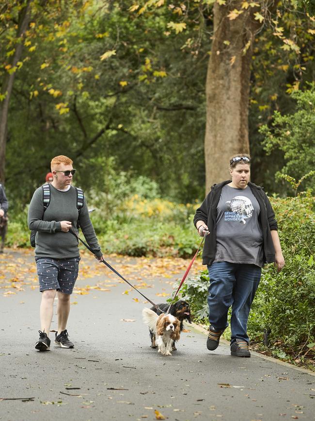 Million Paws Walk in the Adelaide Botanic Gardens, Sunday, May 28, 2023. Picture: Matt Loxton