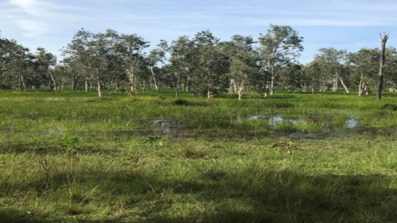 The site of the proposed Central Queensland Coal Project near St Lawrence. Picture: CQ Coal