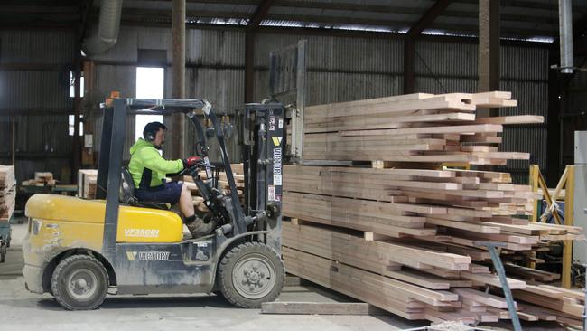 Grim future: 2500 Victorian timber workers face a grim future, with the 2030 phase-out of native forest harvesting. Picture: Yuri Kouzmin