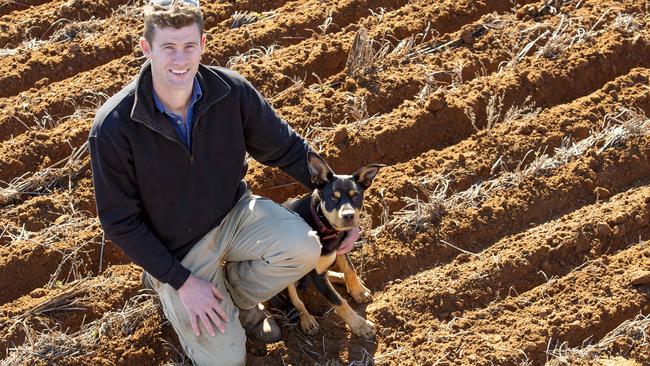 Eddie Rickard with Kelpie Louie sowing Vixen wheat at Curyo. Picture: Zoe Phillips