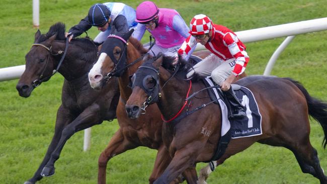 That's a good idea ridden by Tye Angland (red) wins race 5 during Randwick Races. Pic Jenny Evans