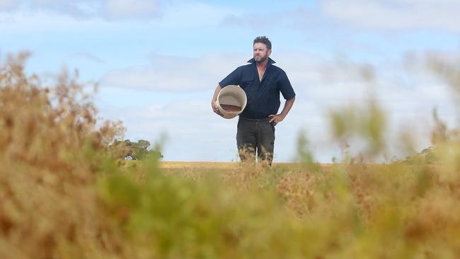 Rick Plant of Manangatang in a lentil crop. Picture: Yuri Kouzmin