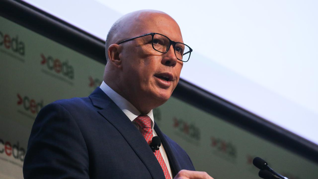 Opposition Leader Peter Dutton says he is concerned about some protesters remaining at large after displaying Hezbollah flags. Picture: NewsWire / Gaye Gerard