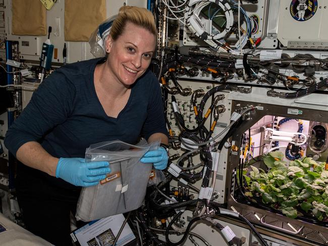 NASA joins with USQ to explore growing food on Mars