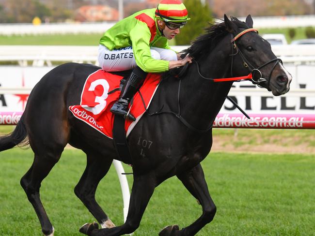 Begood Toya Mother blitzes his rivals at Caulfield in June.