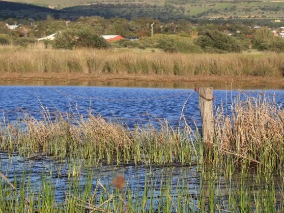 Labor has committed to creating an Aldinga Washpool Conservation Park if elected in 2022