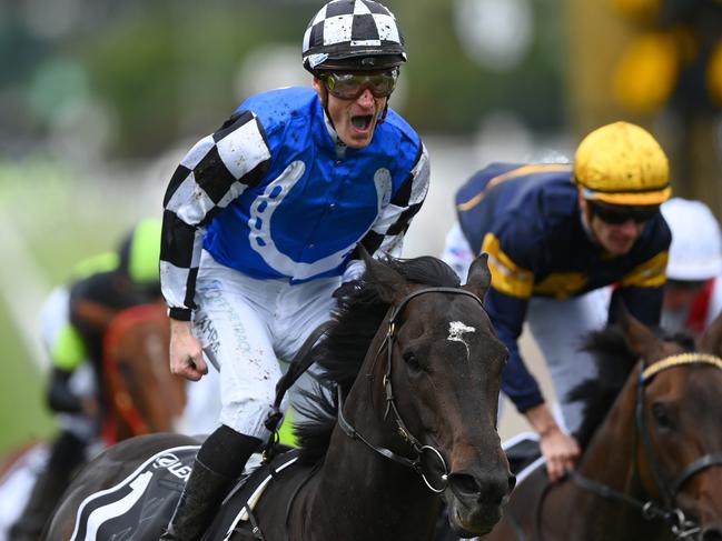 *APAC Sports Pictures of the Week - 2022, November 7* - MELBOURNE, AUSTRALIA - NOVEMBER 01: Mark Zahra riding #1 Gold Trip wins race seven, the Lexus Melbourne Cup during 2022 Lexus Melbourne Cup Day at Flemington Racecourse on November 01, 2022 in Melbourne, Australia. (Photo by Quinn Rooney/Getty Images)