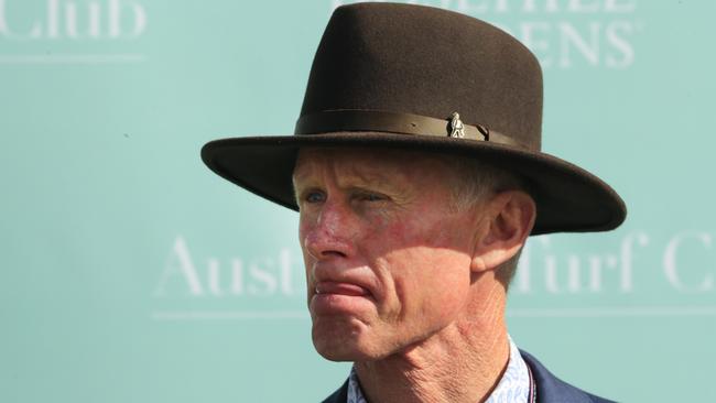 Trainer Danny Williams has Prince Nicconi ready to bounce back on Thursday. Picture: AAP Image