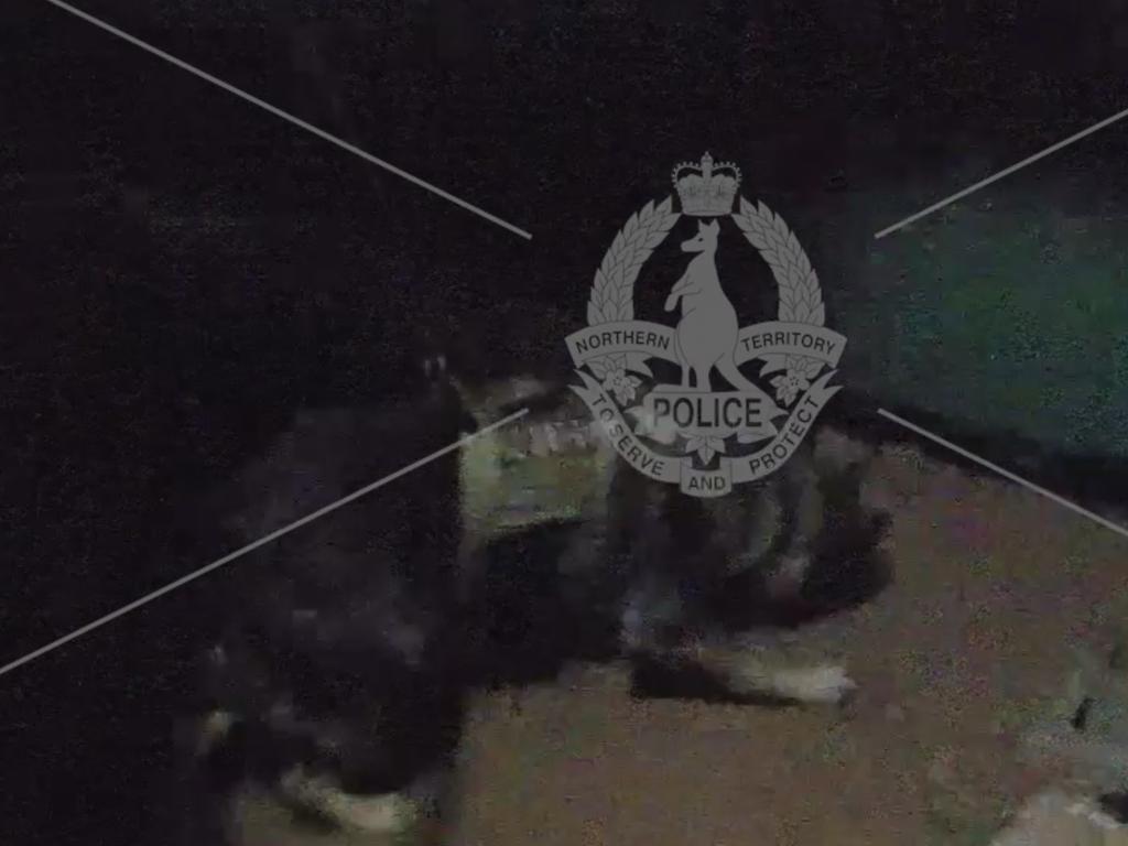 Body-worn camera footage of an NT Police dog arresting an 18-year-old man who allegedly fled after abandoning a stolen car. Picture: NT Police