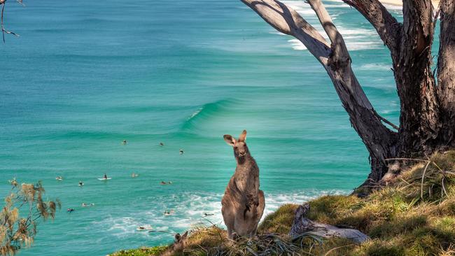 The Indigenous-led success of North Stradbroke Island will benefit all of the community. Picture: Celeste Mitchell/Supplied