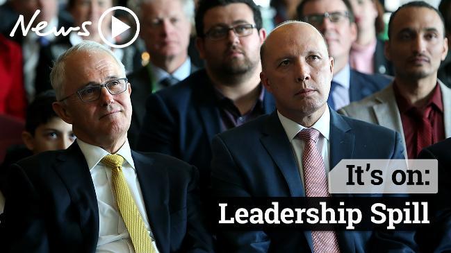 Leadership Spill: Does Australia want Peter Dutton as PM?