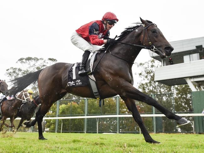 HAWKESBURY GUINEAS Race 7 - Hawkesbury, 04/05/2024, Winner - Schwarz, Jockey - James McDonald. Picture: Bradley Photos