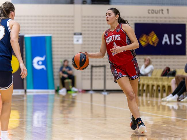 Carla Pitman of the Norths Bears, NBL1 East: Picture: Greg Francis/@DiscoveryOne_Photography