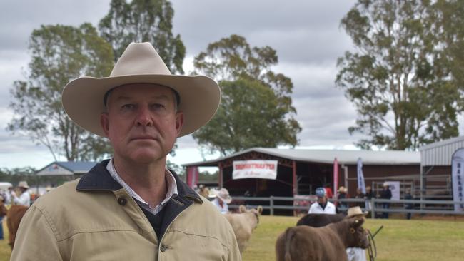 Shadow Minister for Agriculture, Tony Perrett has called for an investigation in the $411million fire ant program.