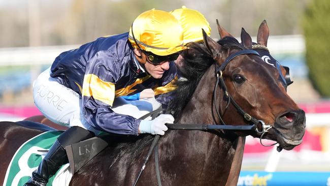 Arkansaw Kid can push his Everest claims in the Chautauqua Stakes at The Valley on Saturday. Picture: Scott Barbour/Racing Photos via Getty Images