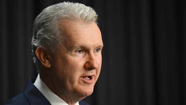 Tony Burke has requested detailed information about any meetings this year between the ABCC and the building industry lobby group. Picture: AAP