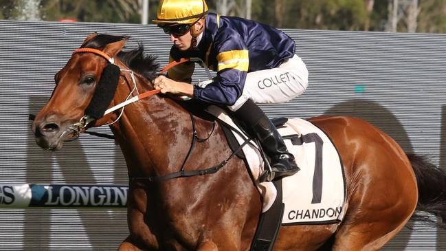 Zeyrek is out to claim a second win this campaign when he contests the Group 3 Neville Sellwood Stakes at Rosehill on Saturday. Picture: Grant Guy