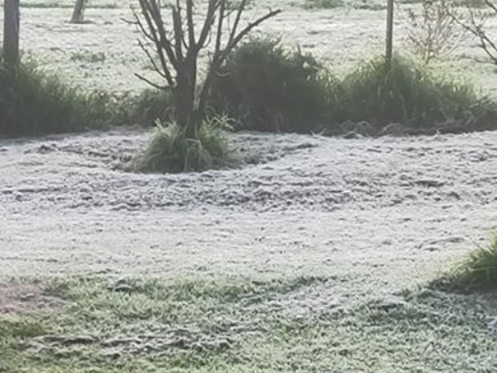 Thick frost on the ground at Murray Bridge at 7am . Picture: Laura Perriam