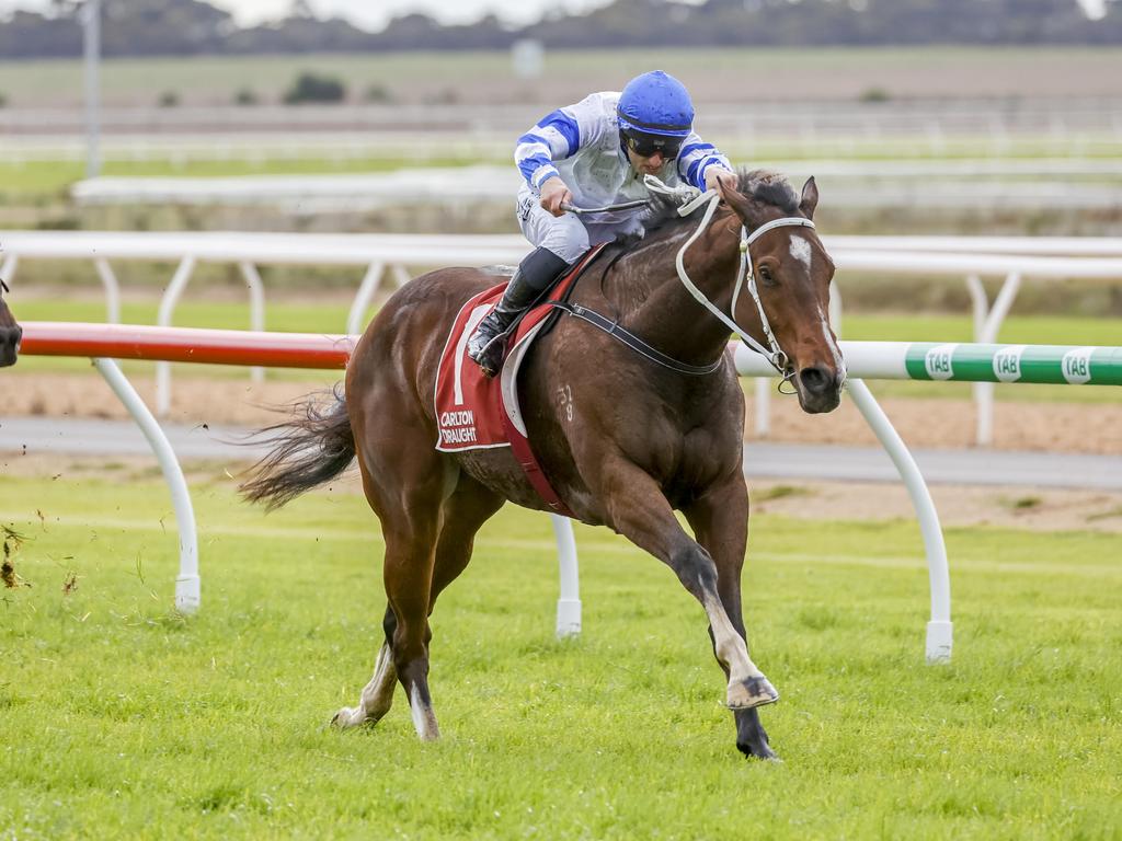 Karacasu looks hard to beat at Murray Bridge on Saturday. Picture: Atkins Photography