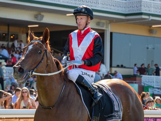 Simon Miller's much-loved stable stalwart Valour Road will be trying to turn back time in the $1.5m Gold Rush at Ascot on Saturday. Picture: Western Racepix.