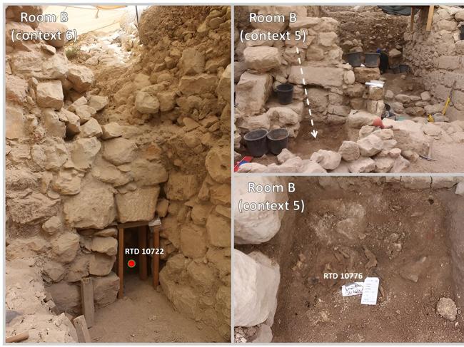 A decade of excavations in the City of David National Park has recovered 103 samples of organic matter – such as charred date pits, grape seeds and a bat skeleton – from carefully recorded locations within four dig sites.