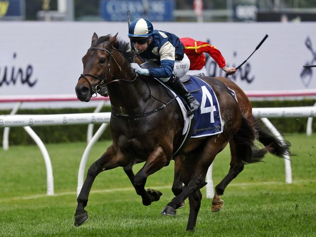 DAILY TELEGRAPH - 5/11/24The Big Dance race day at Randwick Racecourse today.  Tommy Berry rides no.4 GRINGOTTS to victory in The Big Dance. Picture: Sam Ruttyn