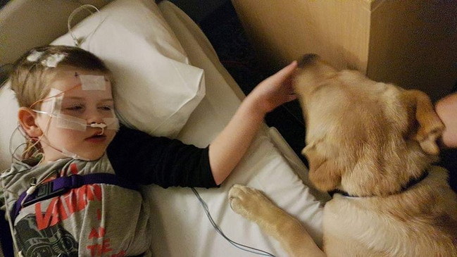 Logan Reese with his assistance dog Hunter at the Women’s and Children's Hospital. Picture: Supplied