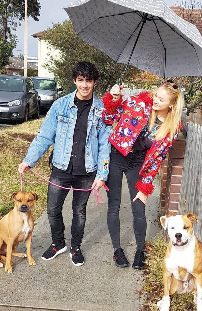 Local Nikki Teo was surprised to be stopped by The Voice coach Joe Jonas and Game of Thrones star Sophie Turner for a photo with her dogs. Picture: Instragram/@nikkiteo