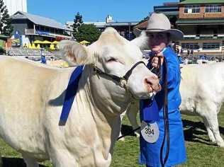 Charnelle Angel 7, with exhibitor West Moreton Anglican College and GK&KA Blanch. Picture: Charolais Society of Australia