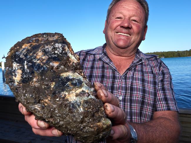 Bernie Connell with the record breaking "Jack" the oyster, on the Clyde River at Batemans Bay. Picture ben Eyles.