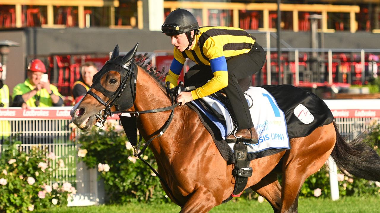 Damian Lane riding Cox Plate favourite Prognosis in a track gallop at The Valley last week. Picture: Vince Caligiuri/Getty Images