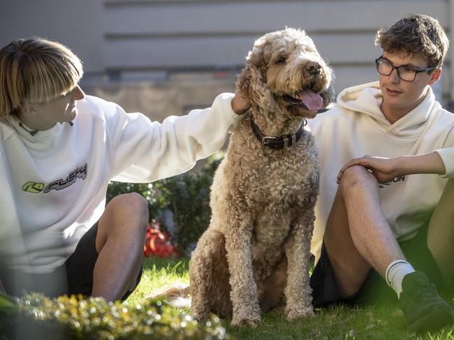 Melbourne Grammar School boarding students with resident pet.