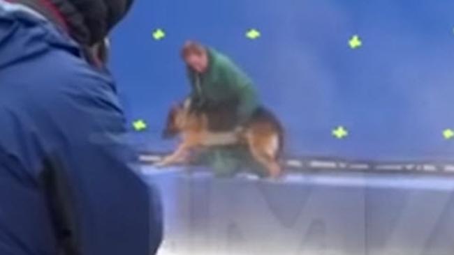 A Dog's Purpose movie: Is this animal cruelty? Leaked video horrifies  viewers  — Australia's leading news site