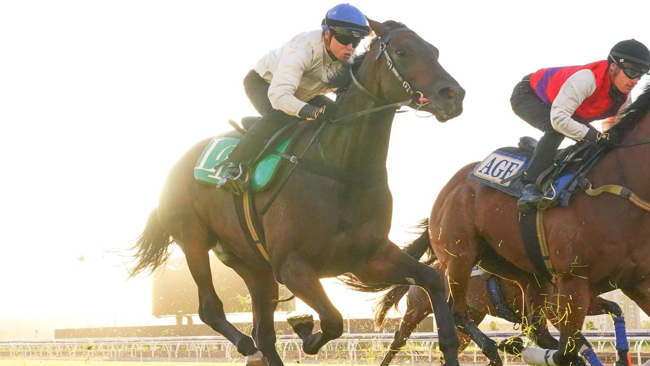 Flemington trackwork